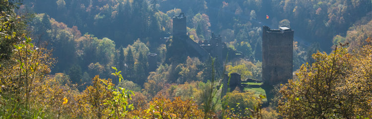 manderscheider-burgenstieg-oktober-2017